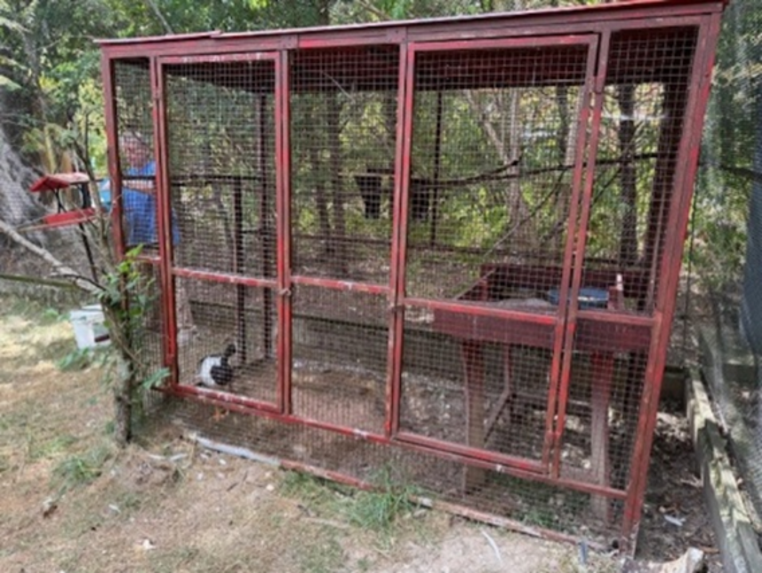 Cage catch