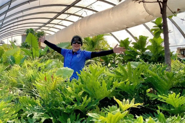 Landscaping greenhouse