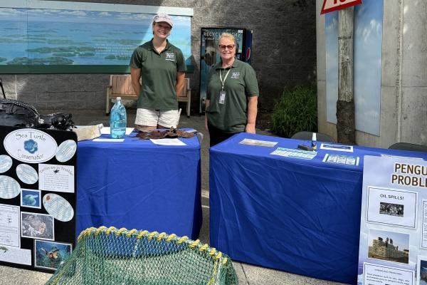 World Ocean Day 2026